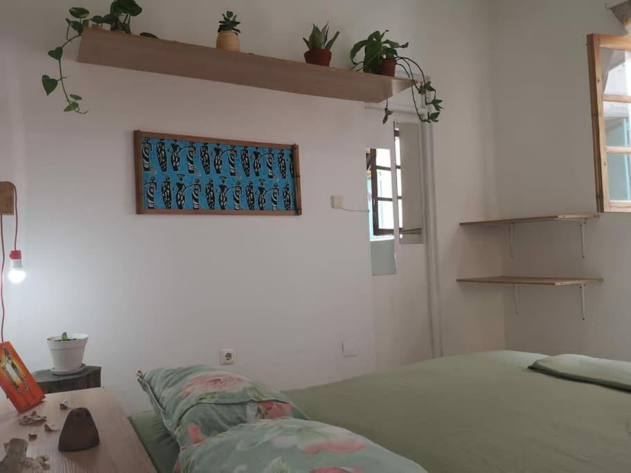 Old House Apartment Tarrafal  Exterior photo